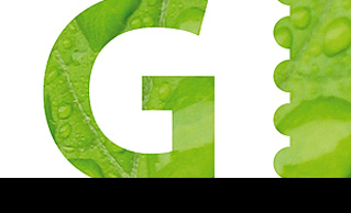 G Mark - логотип